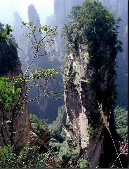 長沙出發(fā)到張家界溶洞奇觀黃龍洞、國家森林公園、袁家界、峰林之王天子山三日游（早班）